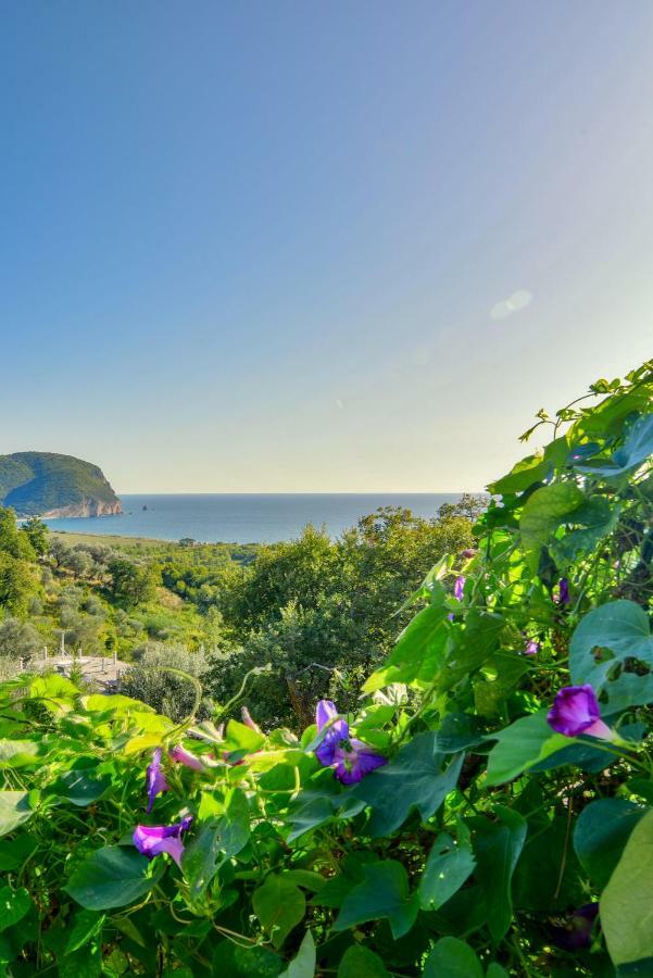 Pataki Guesthouse Petrovac Ngoại thất bức ảnh