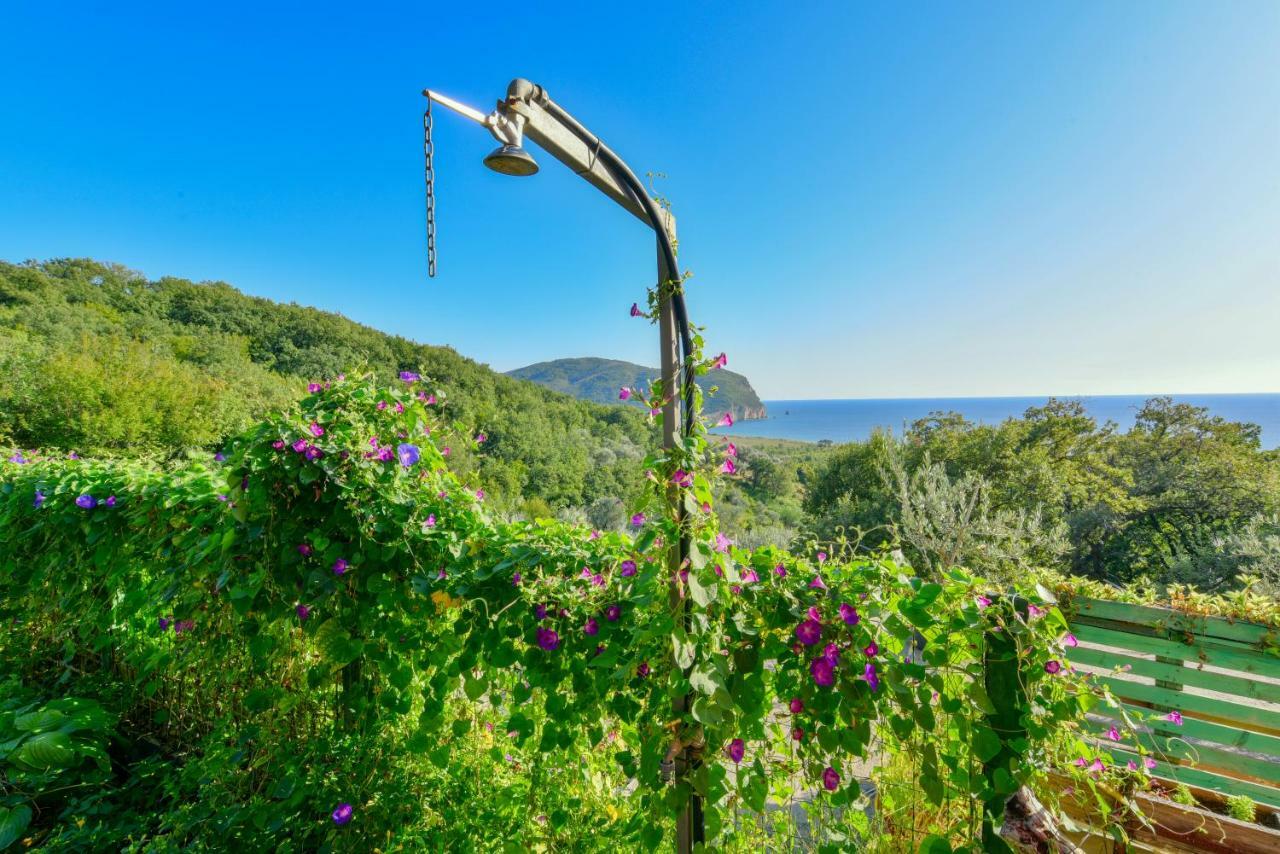 Pataki Guesthouse Petrovac Ngoại thất bức ảnh