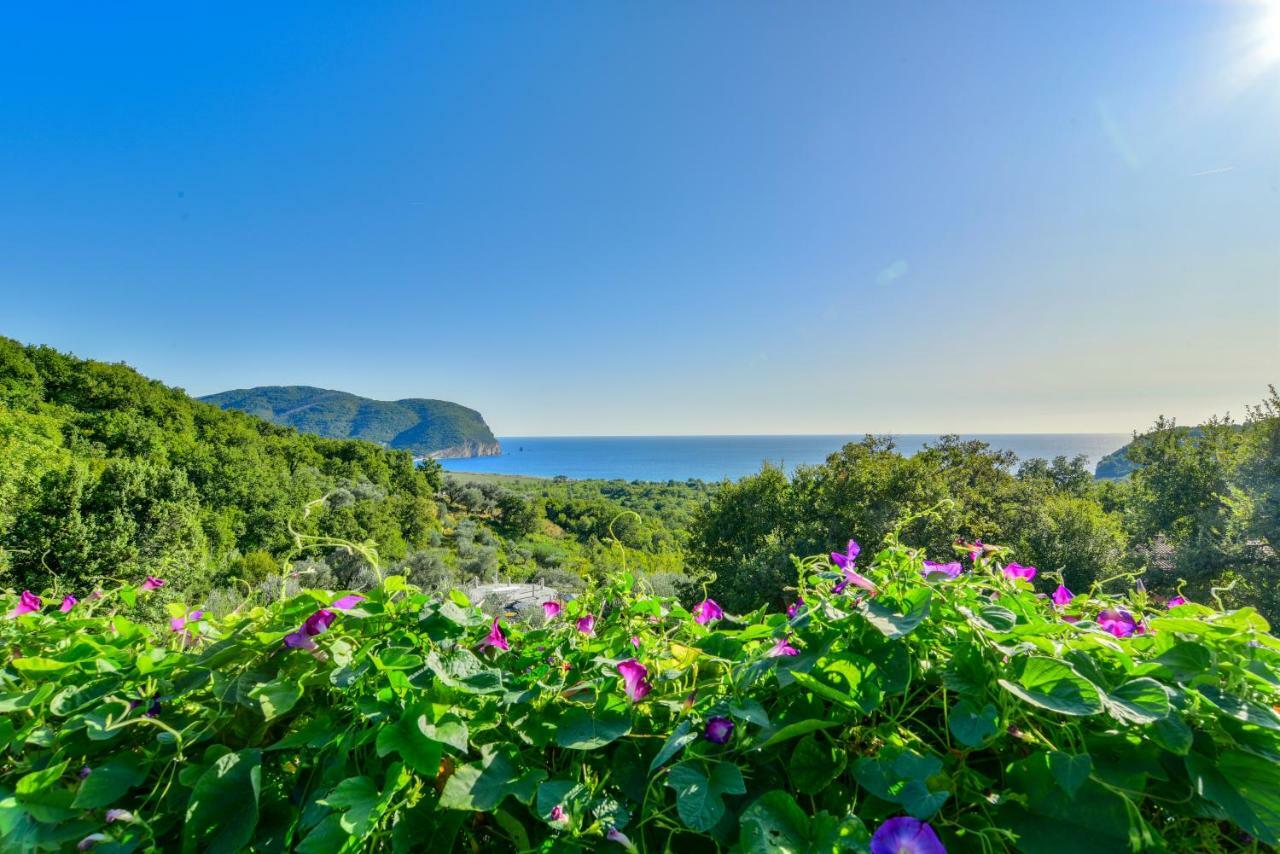 Pataki Guesthouse Petrovac Ngoại thất bức ảnh